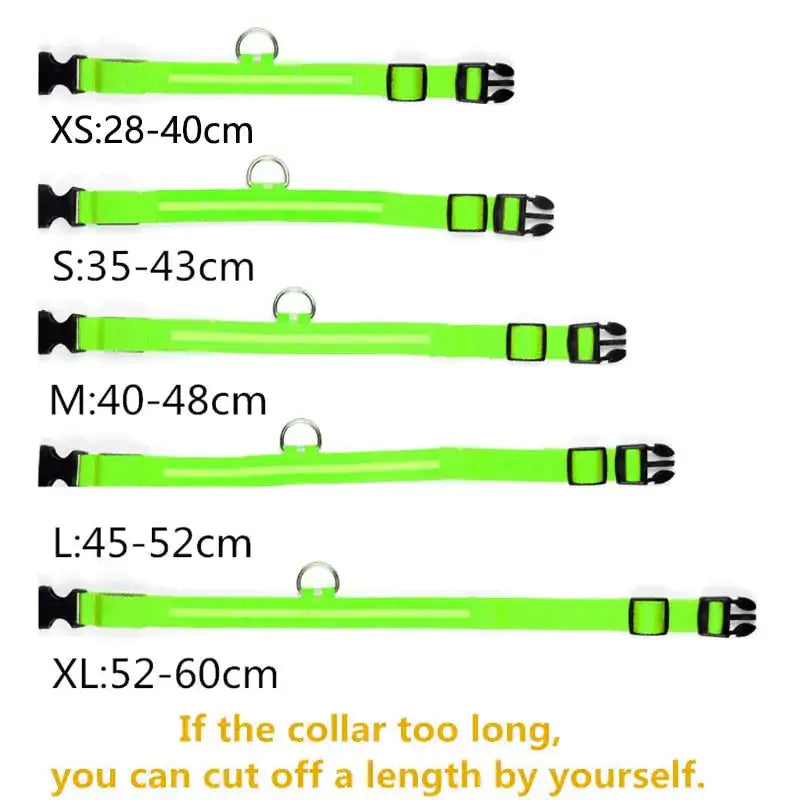 Adjustable LED Pet Collar GLR SHOPPING