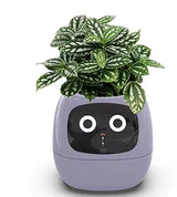 AI Botanical Buddy