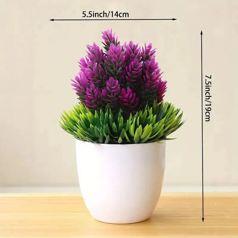 Small Bonsai Tree GLR SHOPPING