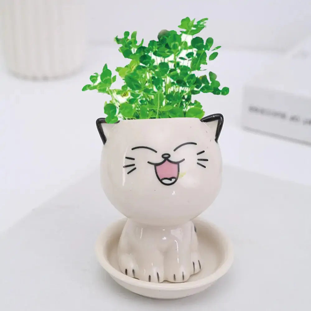 Mini Cat Shaped Cartoon Ceramic Flowerpot GLR SHOPPING