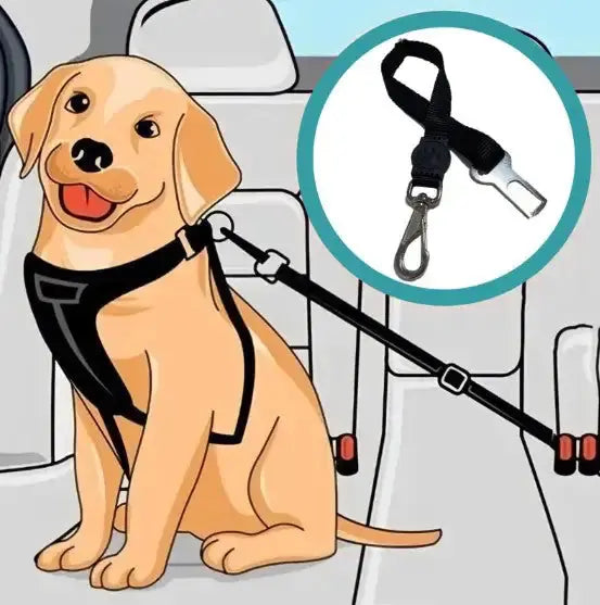 Pet Seatbelt GLR SHOPPING