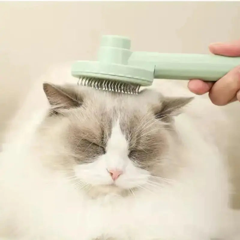 Cat Grooming Brush GLR SHOPPING