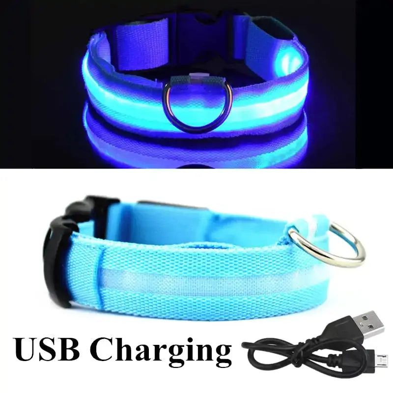 Adjustable LED Pet Collar GLR SHOPPING