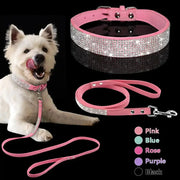 Pet Collar Leash Set GLR SHOPPING