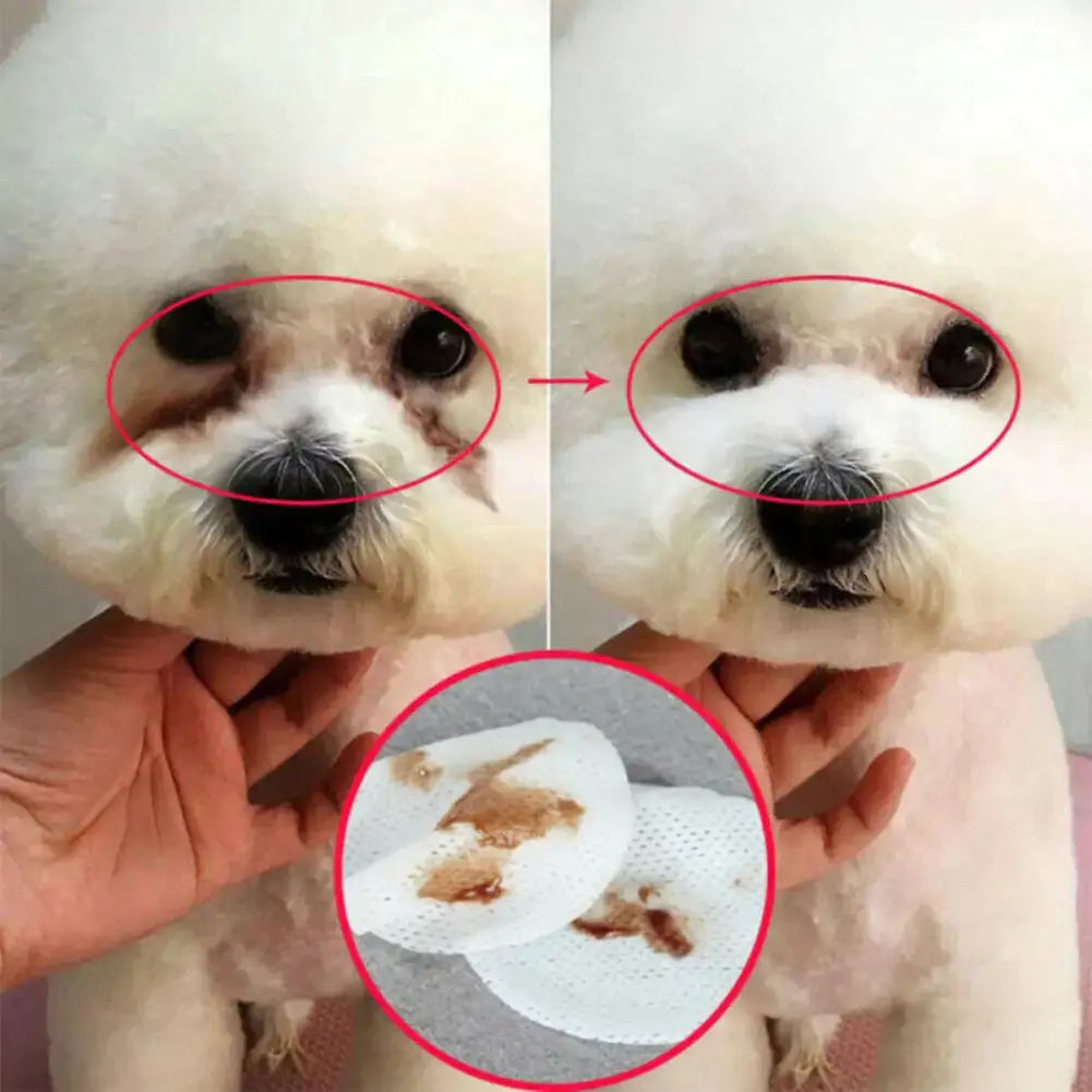 Pet Wet Wipes GLR SHOPPING