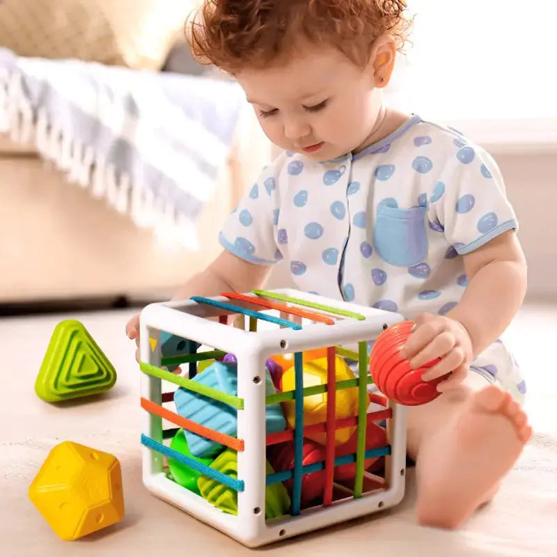 Colorful Shape Blocks Sorting Game GLR SHOPPING