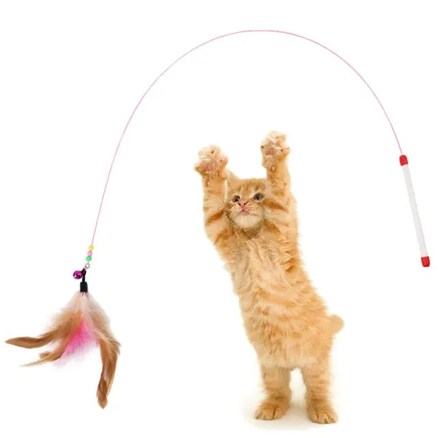 Feather Toy - GLR SHOPPING