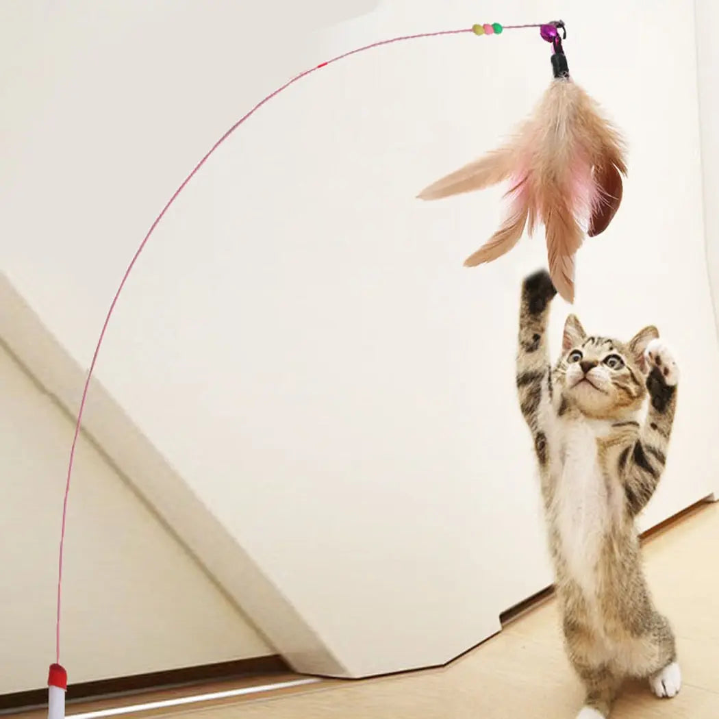 Feather Toy - GLR SHOPPING