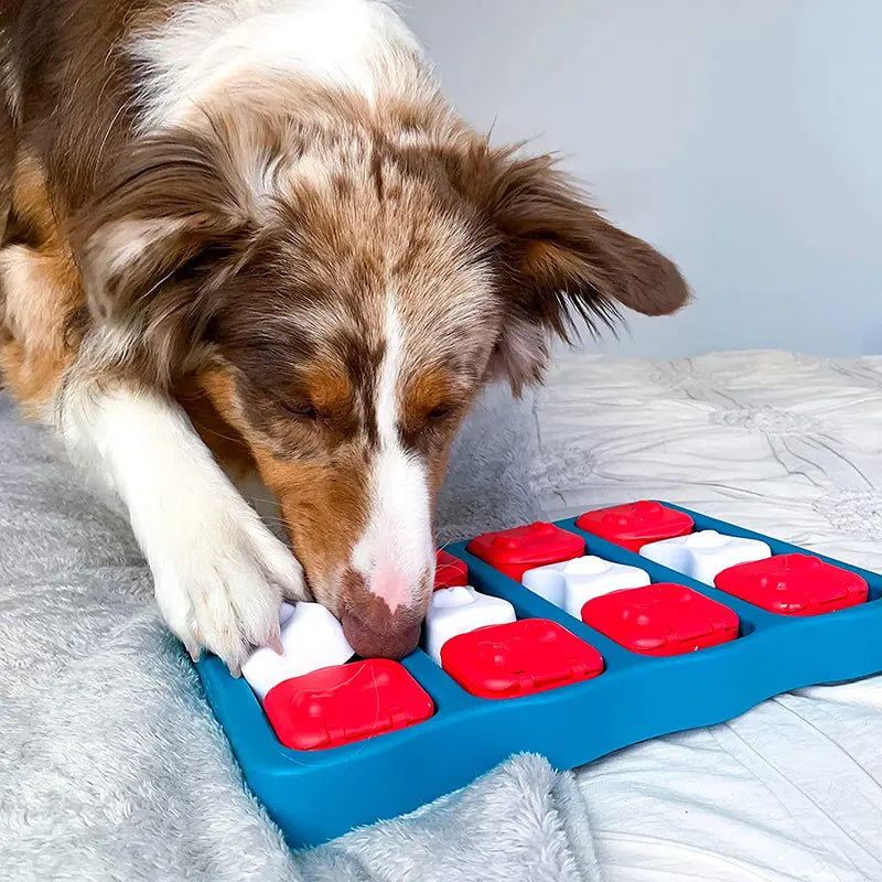 Pet Treasure Box Toy - GLR SHOPPING