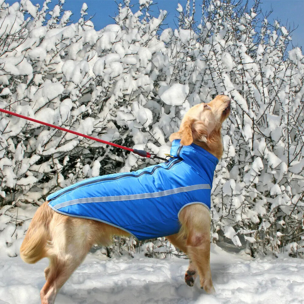 Waterproof Dog Clothes for Large Dogs - GLR SHOPPING