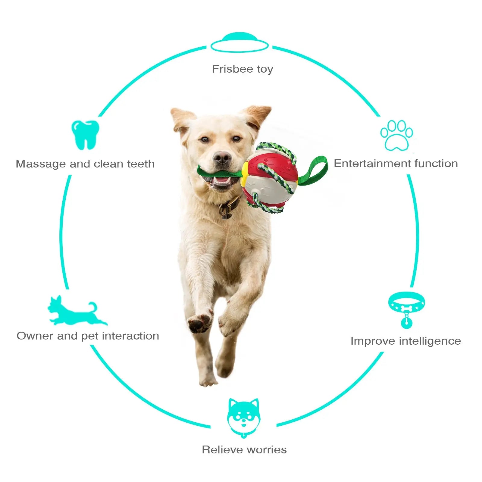 Interactive Dog Toy - GLR SHOPPING