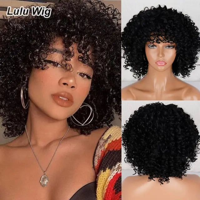 Afro Kinky Curly Wig - GLR SHOPPING