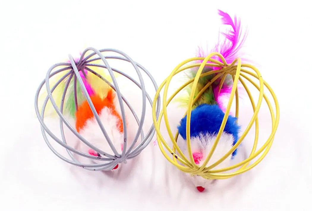Feather Toy - GLR SHOPPING