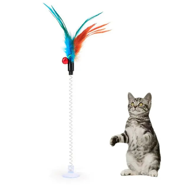 Feather Toy - GLR SHOPPING