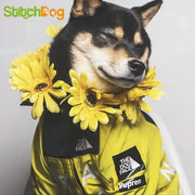 Dog Winter Clothes Windproof Dog Jacket Fashion Pet Clothing for Medium Large Dogs Labrador Reflective Dogs Clothes Ropa Perro - GLR SHOPPING