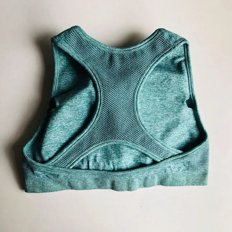 High Impact Seamless Sports Bra - GLR SHOPPING