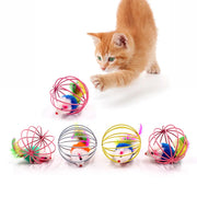 Feather Toy - GLR SHOPPING