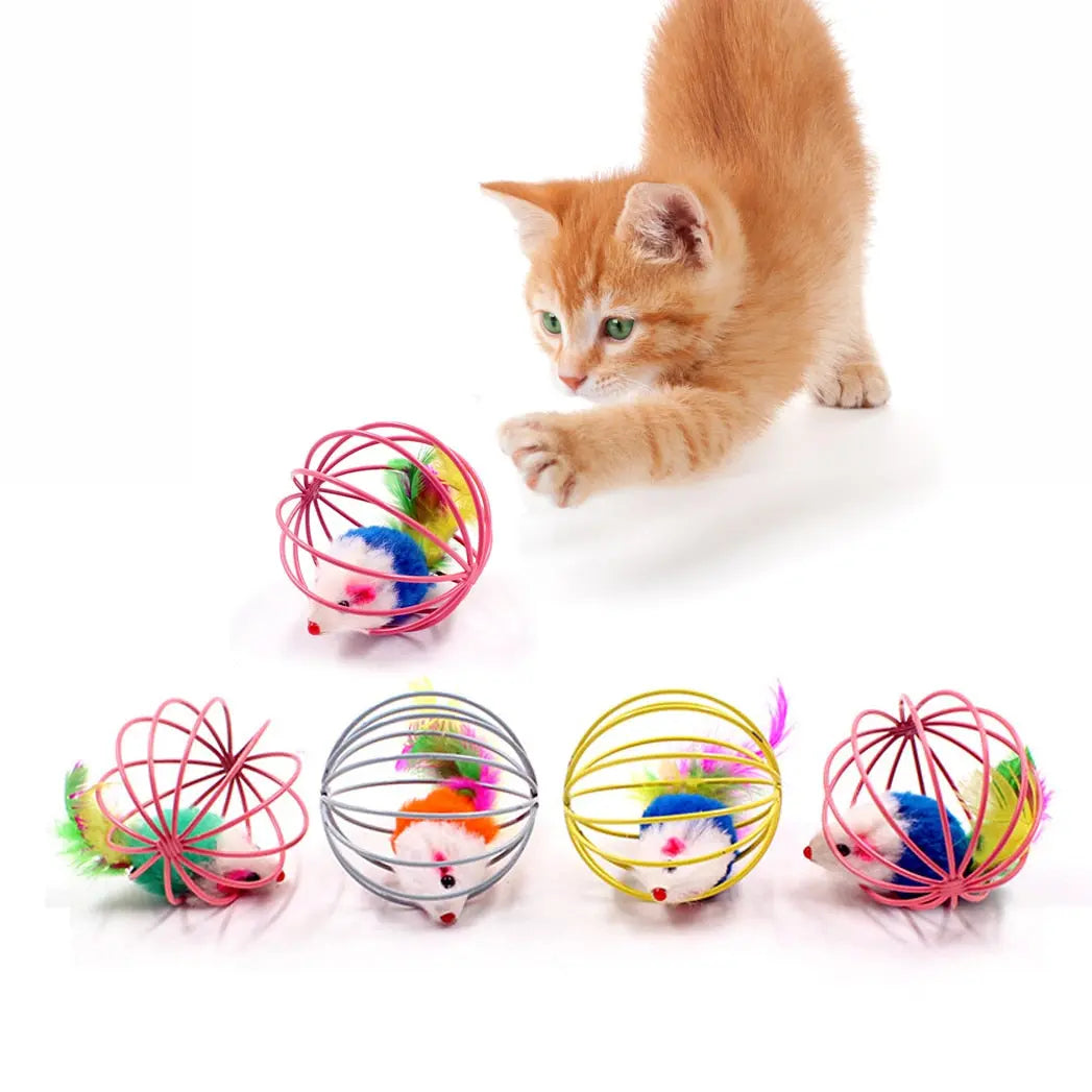 Feather Toy - GLR SHOPPING