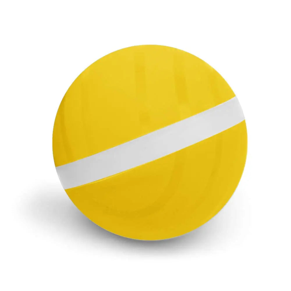 Jump Ball Toy - GLR SHOPPING