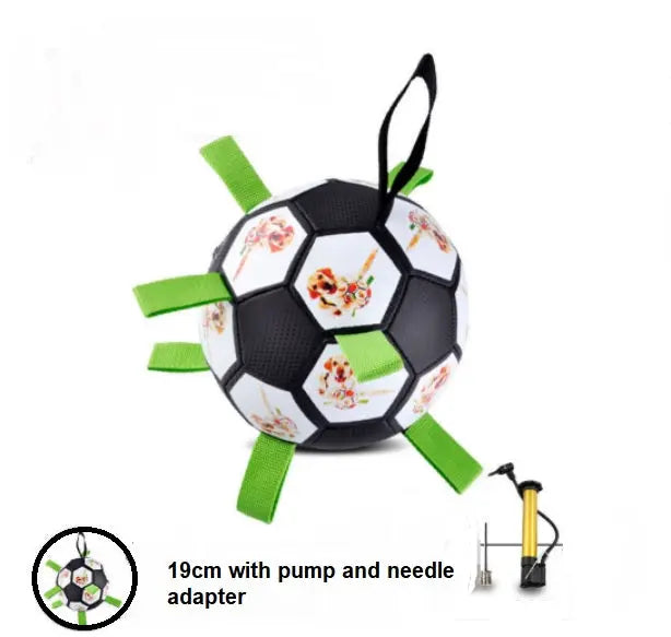 Interactive Pet Toy - GLR SHOPPING