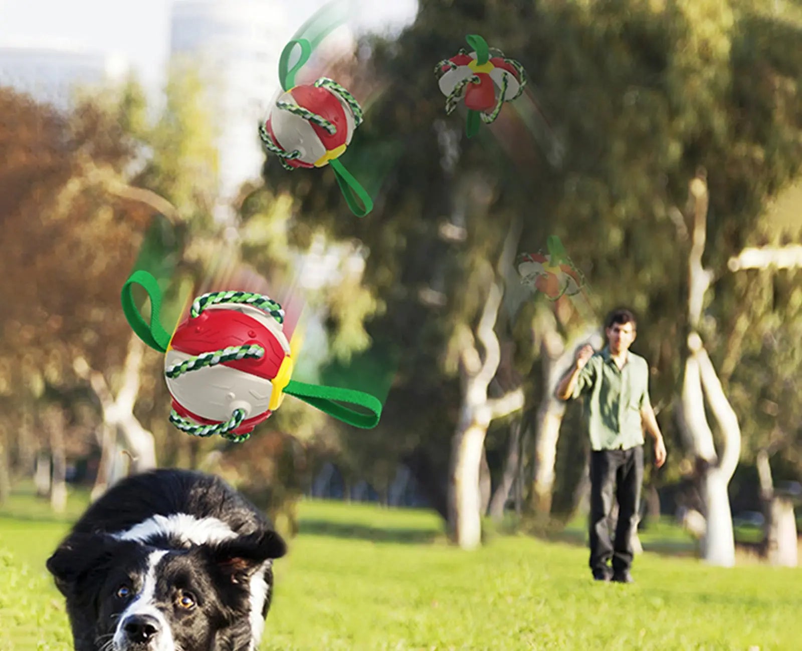 Interactive Dog Toy - GLR SHOPPING