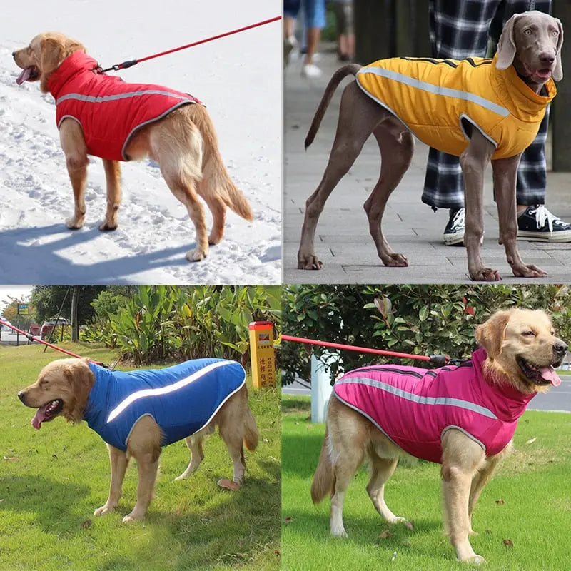 Waterproof Dog Clothes for Large Dogs - GLR SHOPPING
