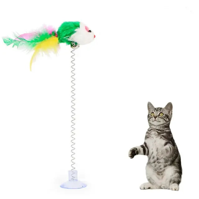 Feather Toy - GLR SHOPPING