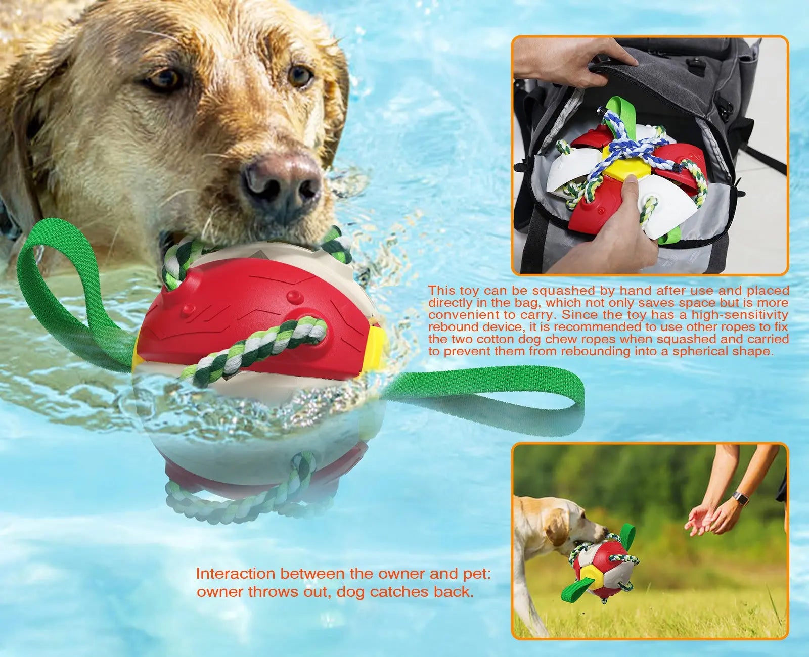 Interactive Dog Toy - GLR SHOPPING
