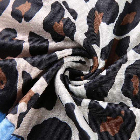 Veronica Leopard Mini Dress - GLR SHOPPING