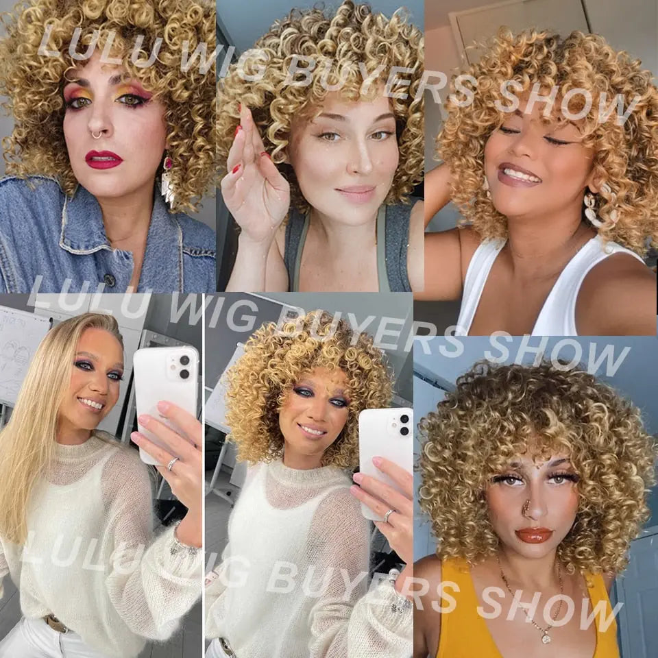 Afro Kinky Curly Wig - GLR SHOPPING
