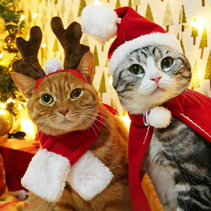 Pet Christmas Clothes - GLR SHOPPING