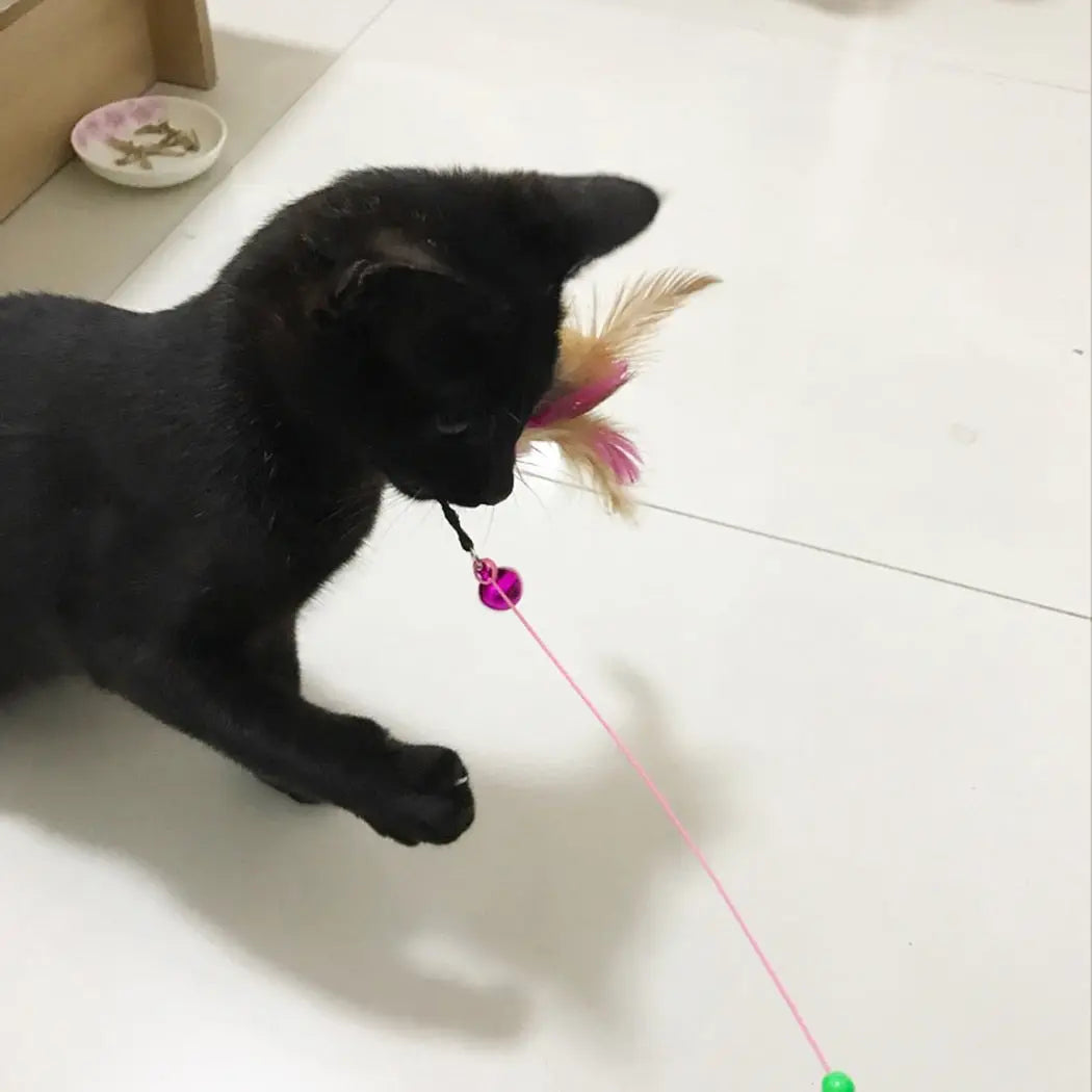 Feather Toy - GLR SHOPPING