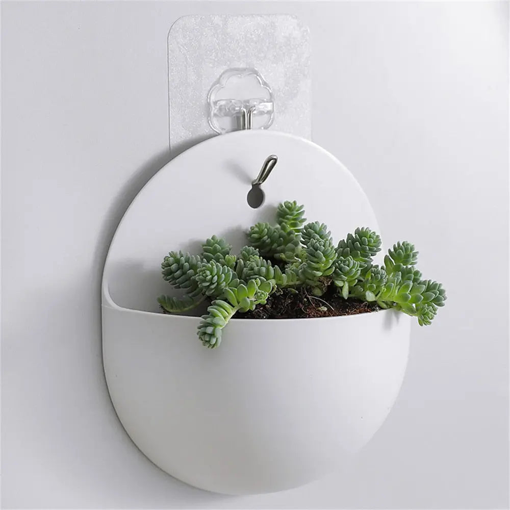 Hanging Flower pot - GLR SHOPPING