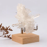 Wood Base Stone Display Rack - GLR SHOPPING