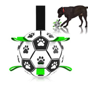 Interactive Pet Toy - GLR SHOPPING