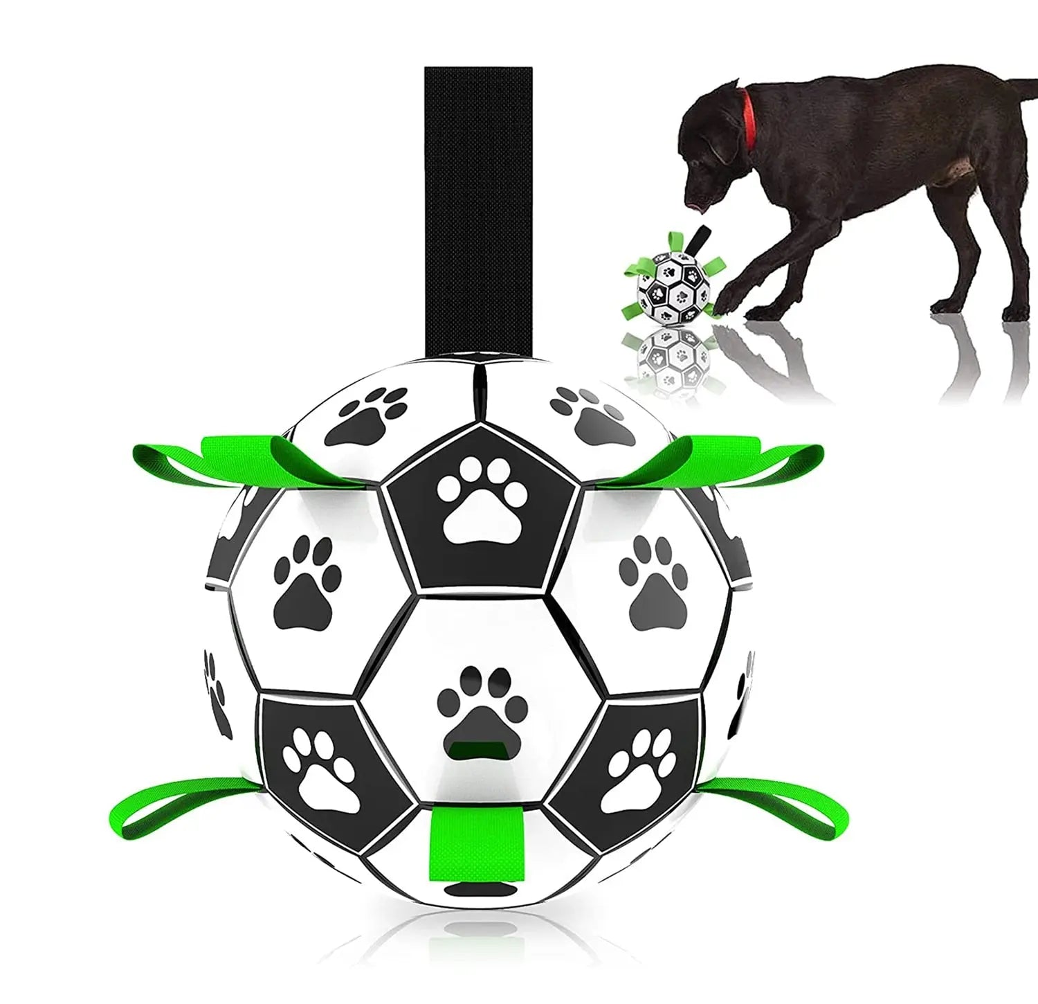 Interactive Pet Toy - GLR SHOPPING