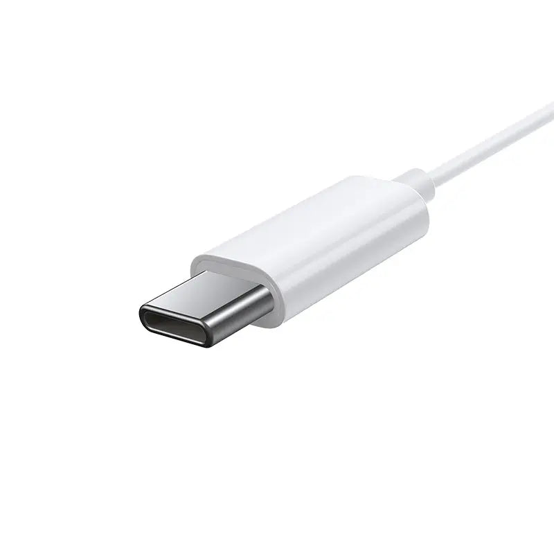 Type C Lateral In-ear Wired Earphone - GLR SHOPPING