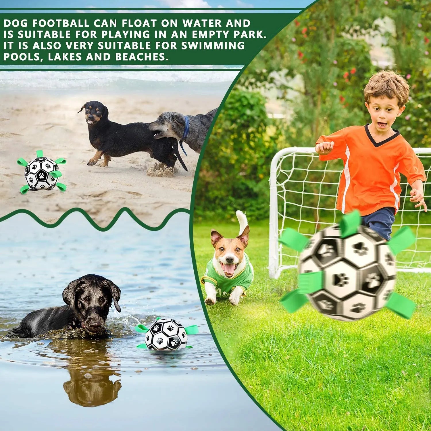 Interactive Pet Toy - GLR SHOPPING