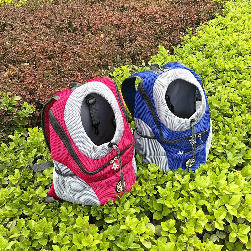Pet Carriers  For Small Cats and Dogs - GLR SHOPPING