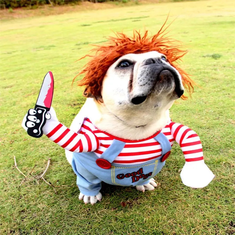 Funny Large Dog Halloween Costumes | Funny Pet Costumes Halloween - - GLR SHOPPING