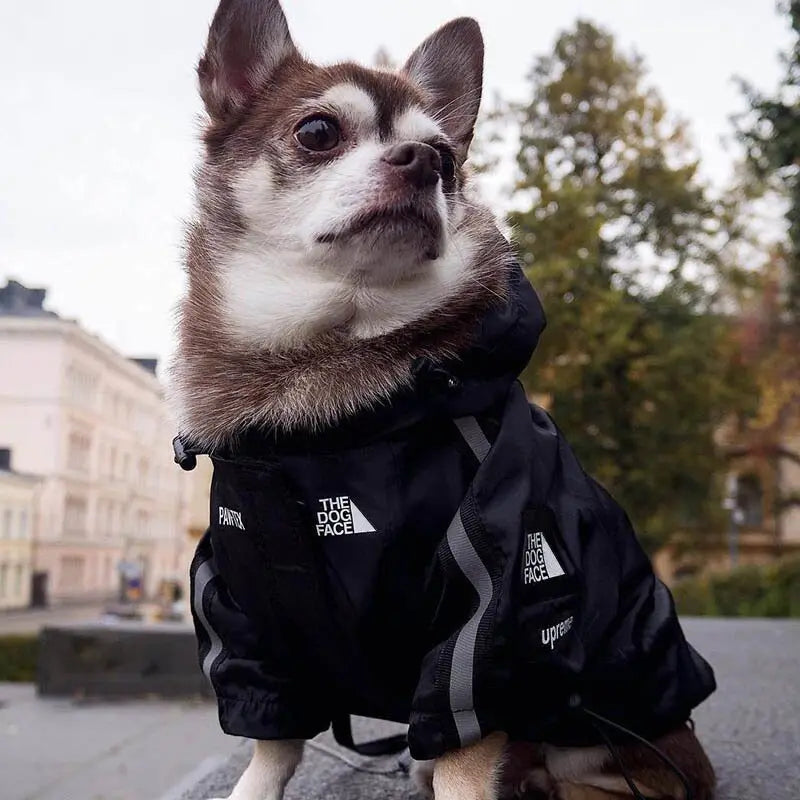 Dog Winter Clothes Windproof Dog Jacket Fashion Pet Clothing for Medium Large Dogs Labrador Reflective Dogs Clothes Ropa Perro - GLR SHOPPING