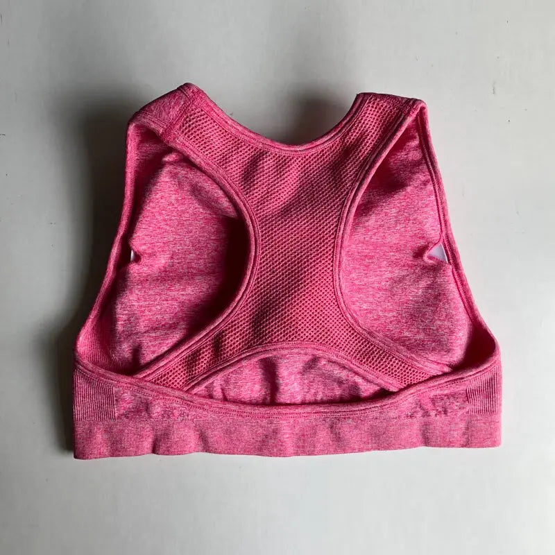 High Impact Seamless Sports Bra - GLR SHOPPING