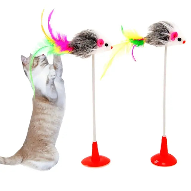 Feather Toy - GLR SHOPPING