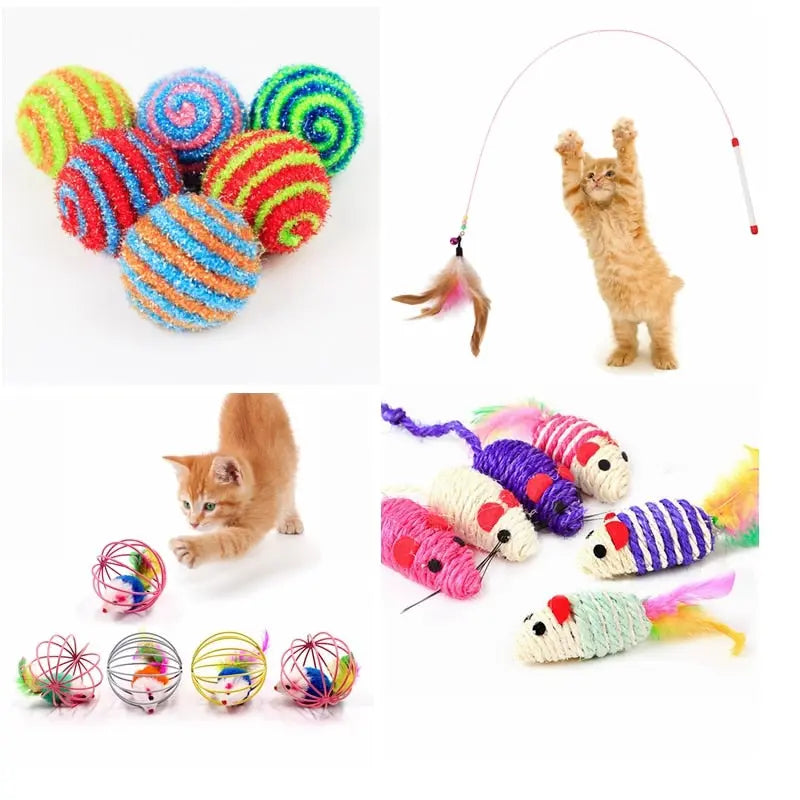 Feather Toy - GLR SHOPPING