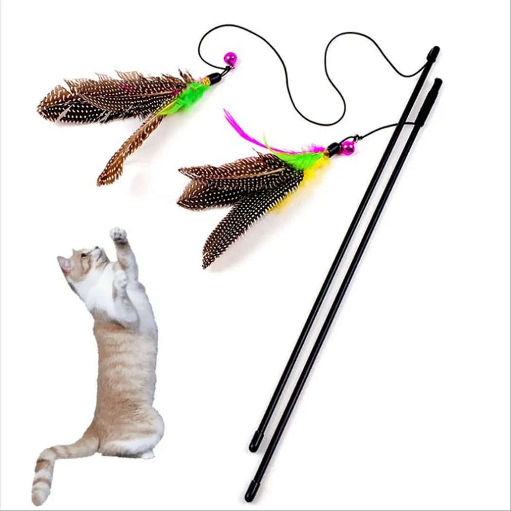 Feather Toy - GLR SHOPPING