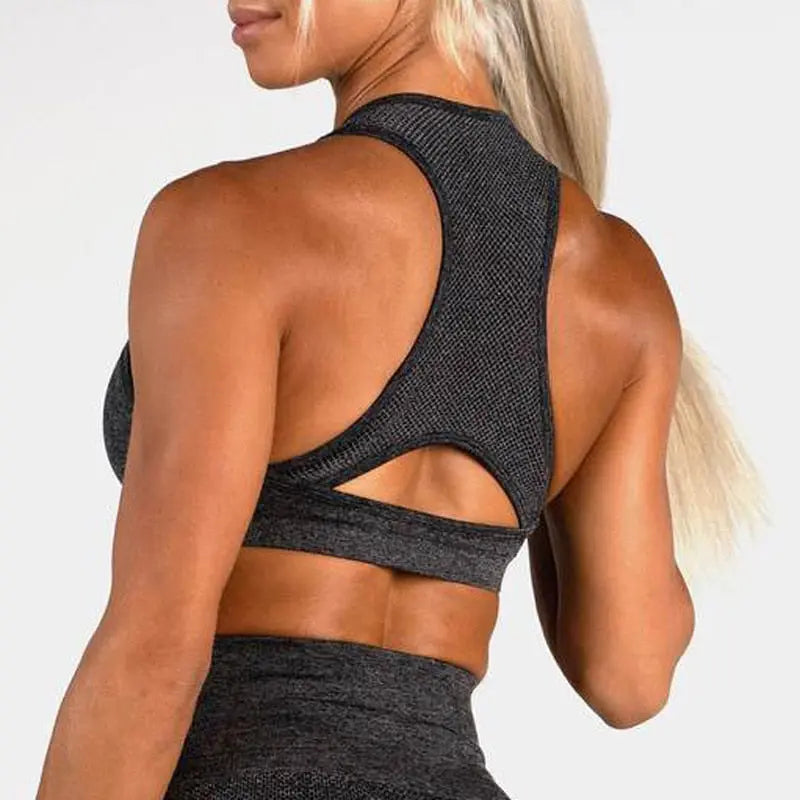High Impact Seamless Sports Bra - GLR SHOPPING