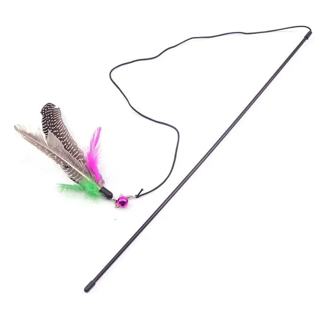 Feather Toy - GLR SHOPPING