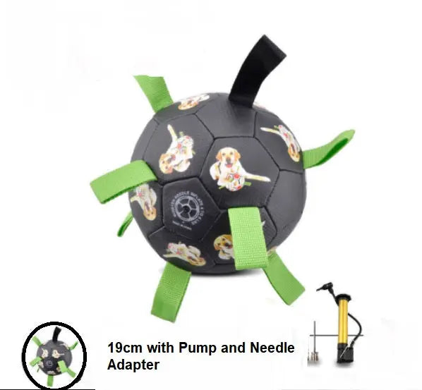 Interactive Pet Toy - GLR SHOPPING