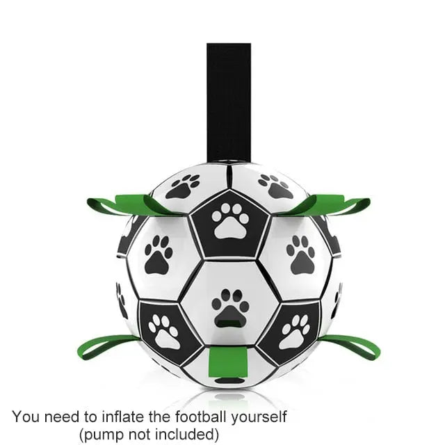 Interactive Pet Toy - GLR SHOPPING