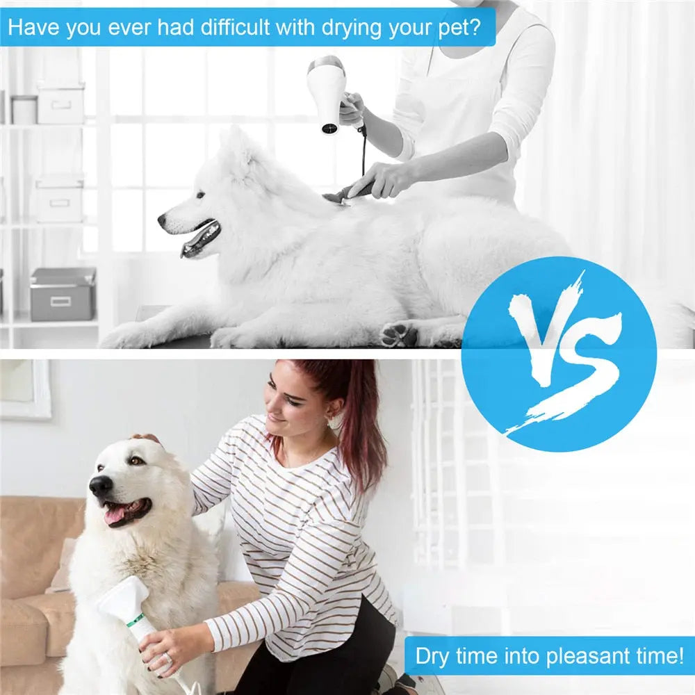Portable Dog Dryer 2-In-1Hair Dryer For Dogs - GLR SHOPPING